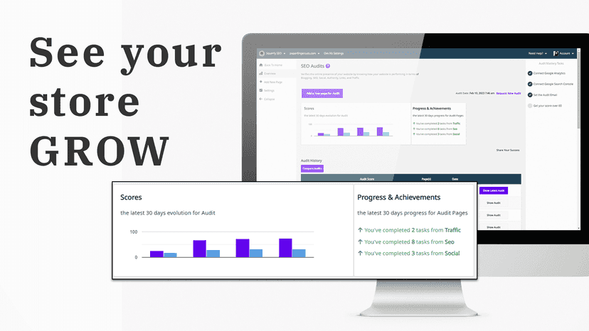 See your store grow with Plug in SEO audits and SEO stats