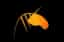 Show Horse Outlet logo