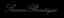 Simonboutique logo