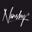 Nanshy logo