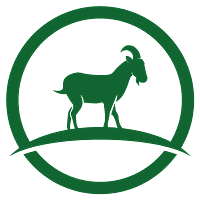 Wuohi Digital logo