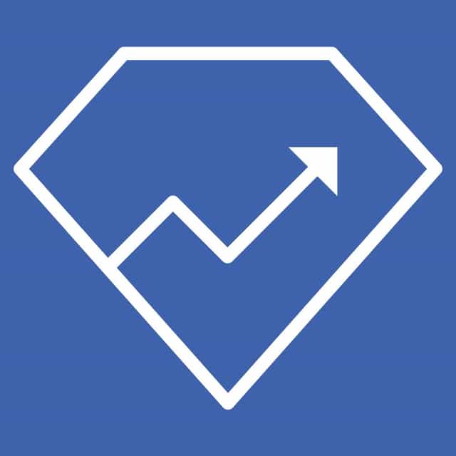 StoreYa Facebook Ads Audit logo