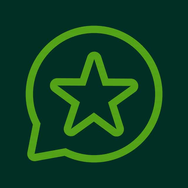 Store Reviews logo