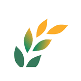 稻米营销云: 一站式获客增长软件 logo