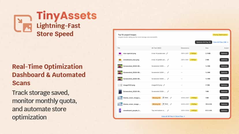 TinyAssets dashboard showing image compression stats and usage