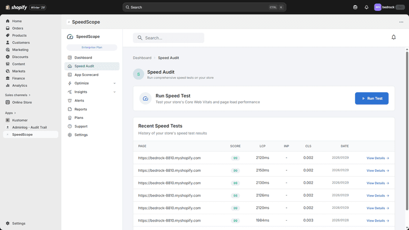 Detailed speed audit results with Core Web Vitals scores.