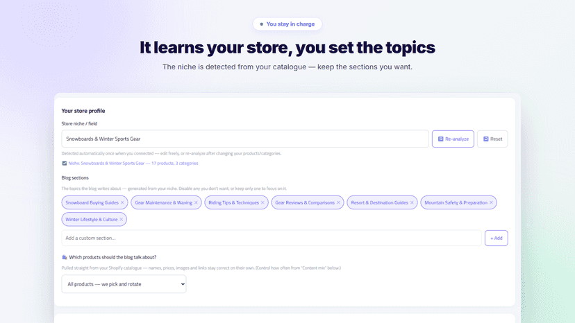 Detected store niche and the blog sections it writes