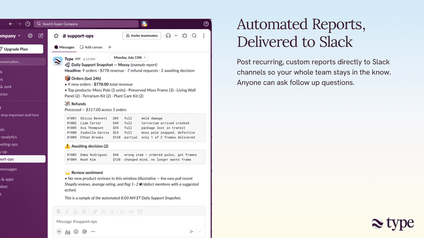Automated Reports