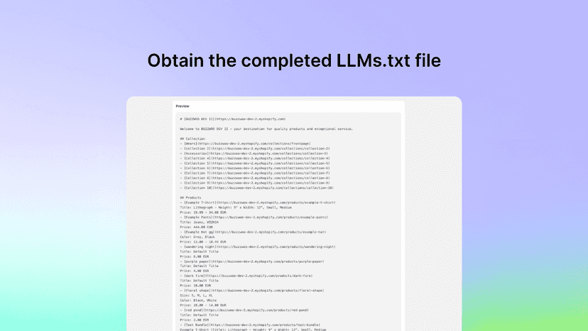 Preview of an LLM.txt file showing structured information