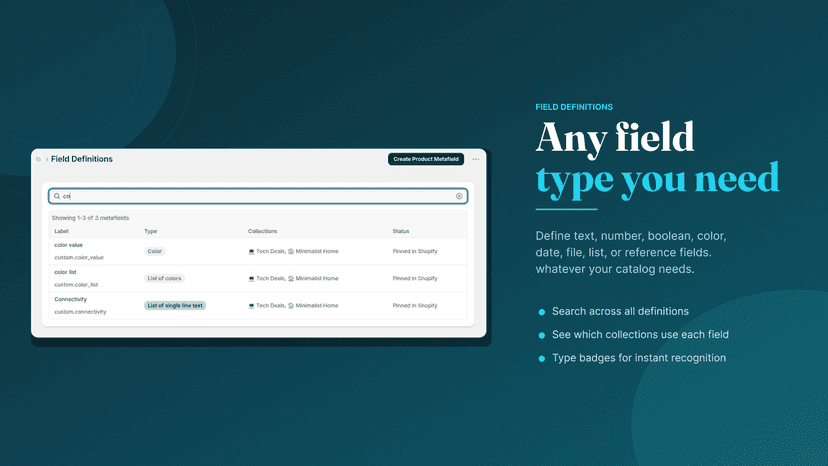 List of custom field definitions with type badges
