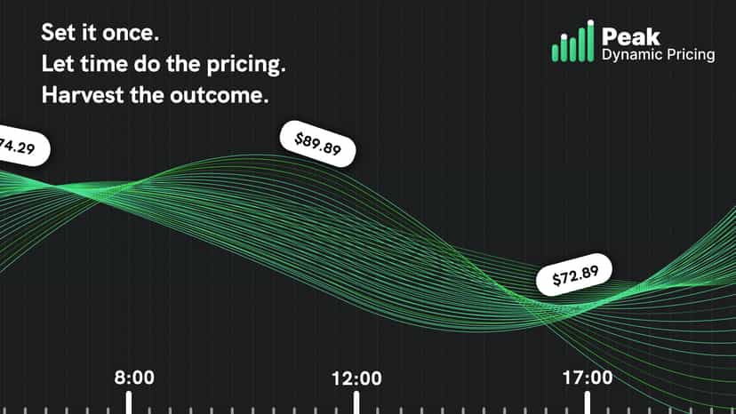 Dynamic pricing graph showing price changes over time