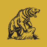 Bear Limits: B2B Order MOQ logo