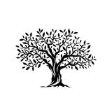 BaoBrain Analytics logo