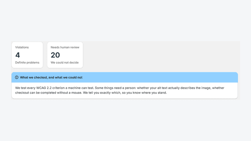 Scan summary: definite violations and items needing review
