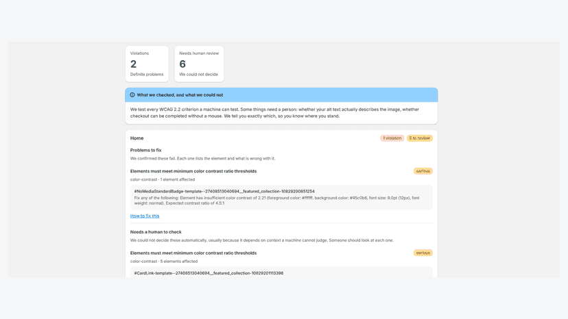 Scan summary with violations and items needing human review