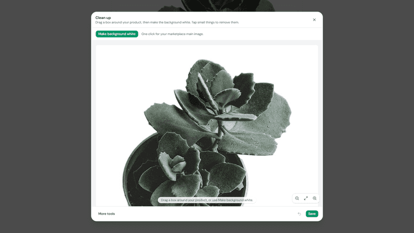 Image editor with background and cleanup tools