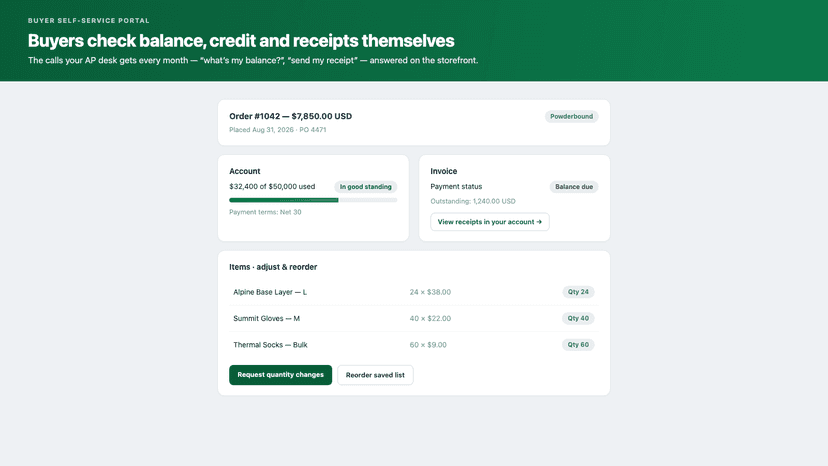 Buyer self-service portal: balance, credit and invoice status