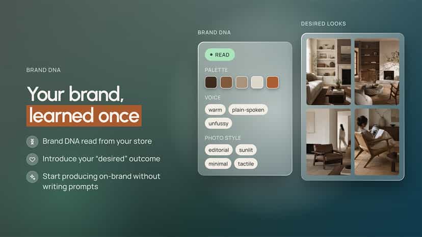 Brand DNA read from your store: palette, voice, photo style