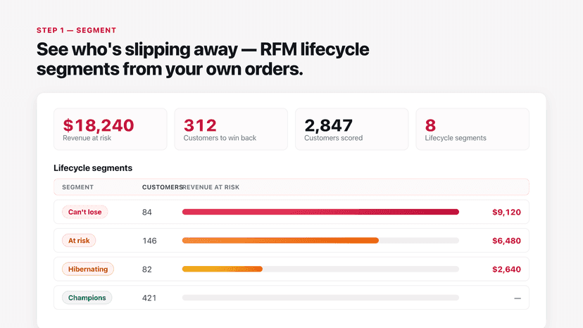 RFM lifecycle segments with revenue at risk per cohort