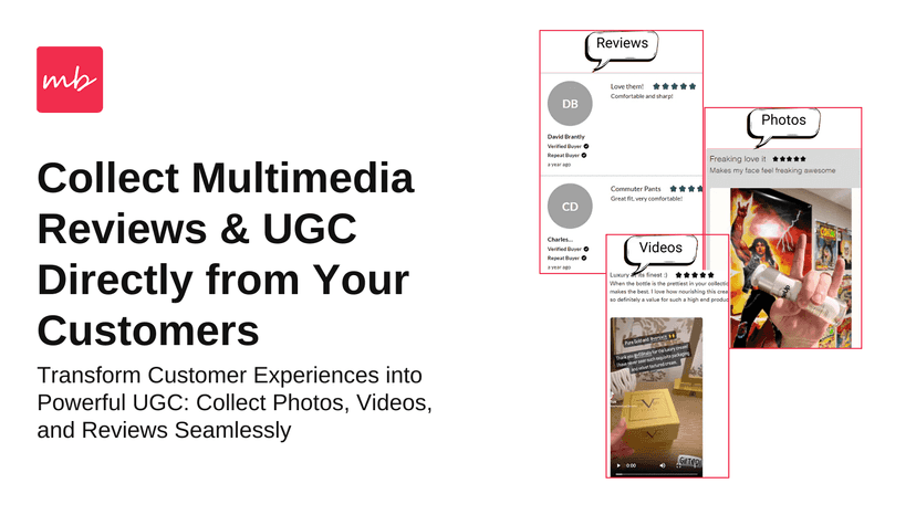 multimedia reviews