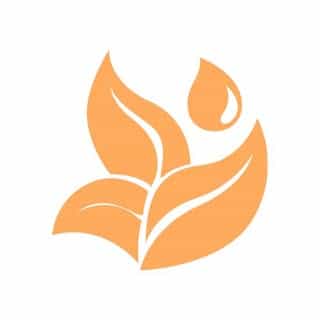 SkinZeal logo