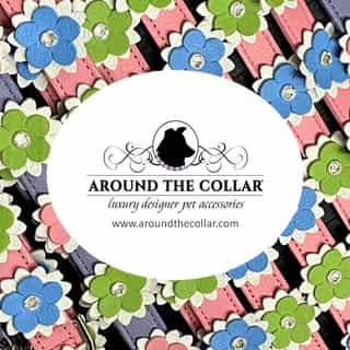 Around The Collar NY logo