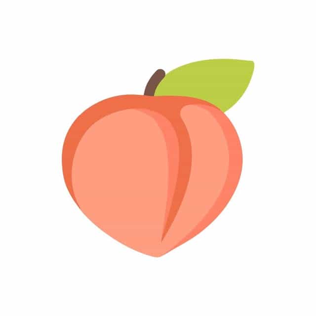 mishmish swimwear logo