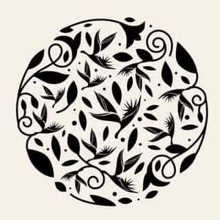 Parfums des Iles logo