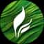 Full Leaf Tea Company logo