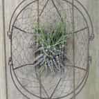 Pekin Apothecary logo