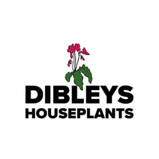 Dibleys logo
