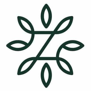 Zinus NZ logo