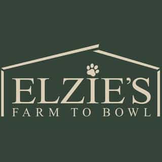 Elzies Inc logo