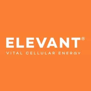 Elevant Asia logo