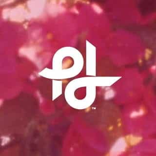 Popilush logo