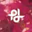 Popilush logo