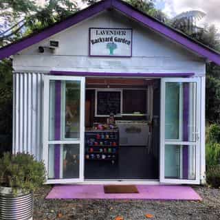 Lavender Backyard Garden ® logo