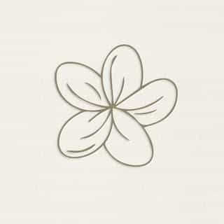 beautygaines logo