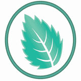 Mintsoft logo