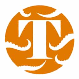 Tamnon DeliverIt logo