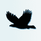 Adeagle: Get Traffic โข AI Ads logo