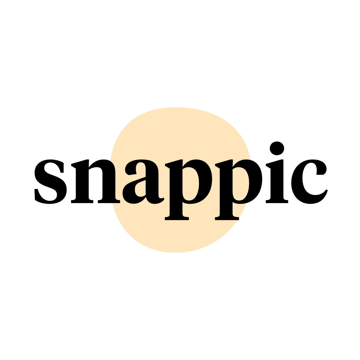 Snappic ‑ Instagram Ads logo