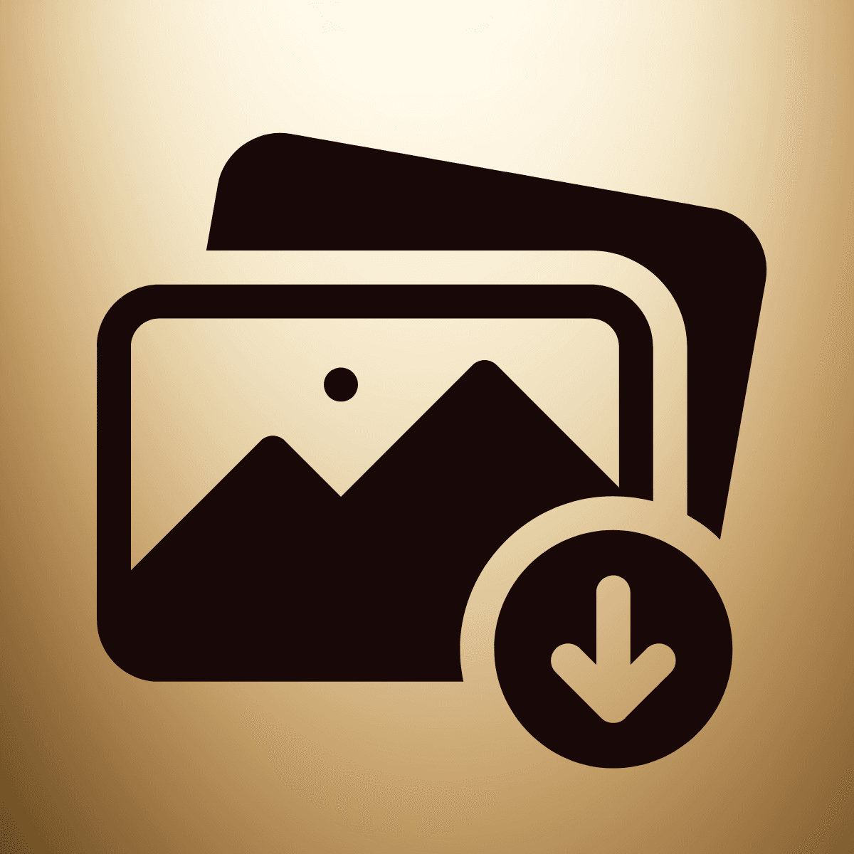 Bulk export product images by status, collection, date, vendors and download images to your computer