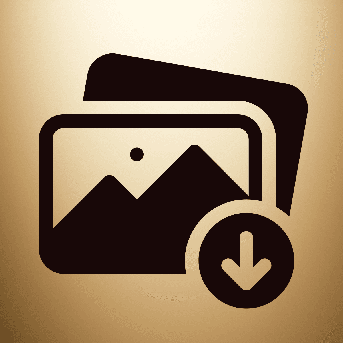 Bulk export product images by status, collection, date, vendors and download images to your computer logo