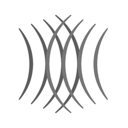 Replika Software logo