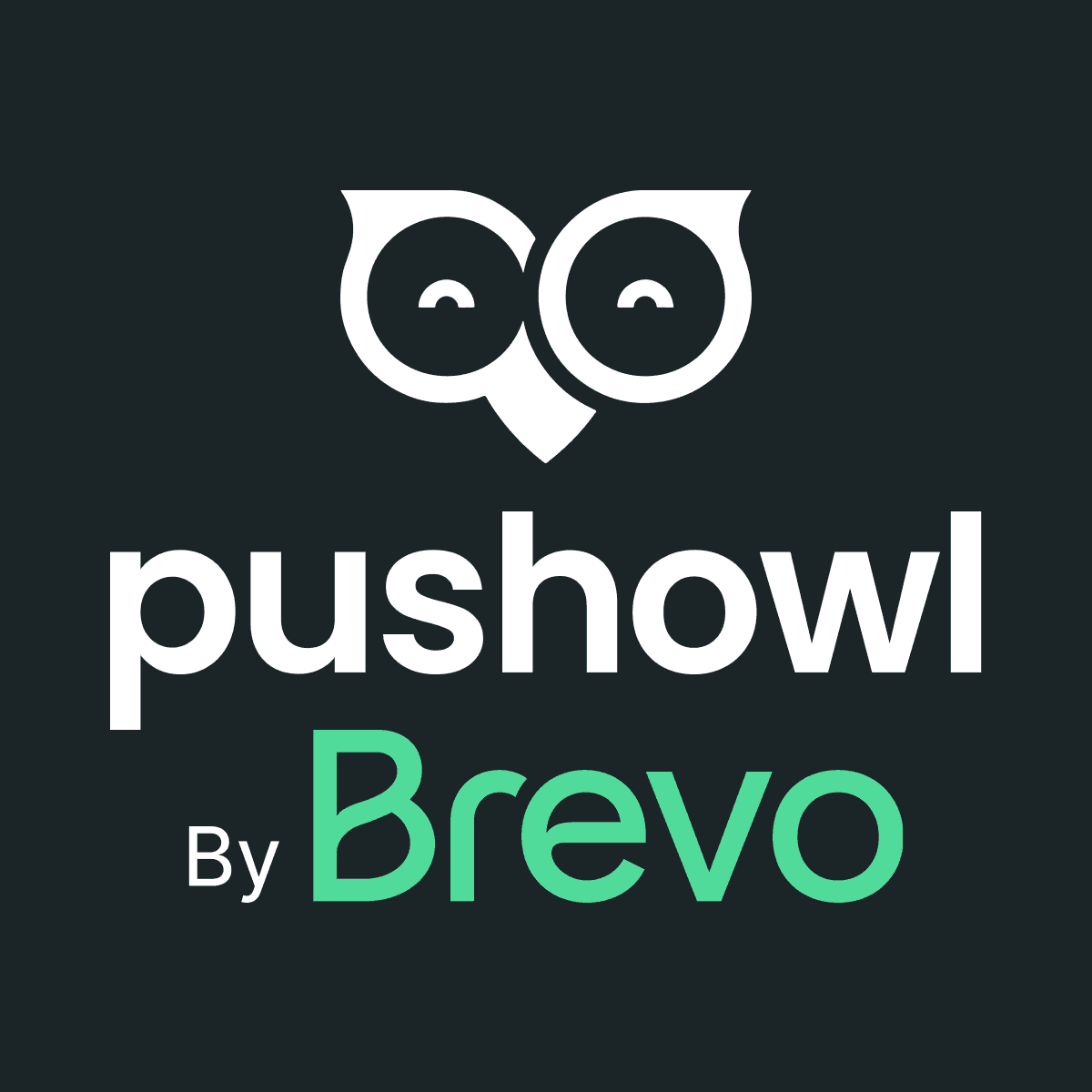 PushOwl & Brevo:Email/Push/SMS logo
