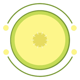Print Melon ‑ Print on Demand logo