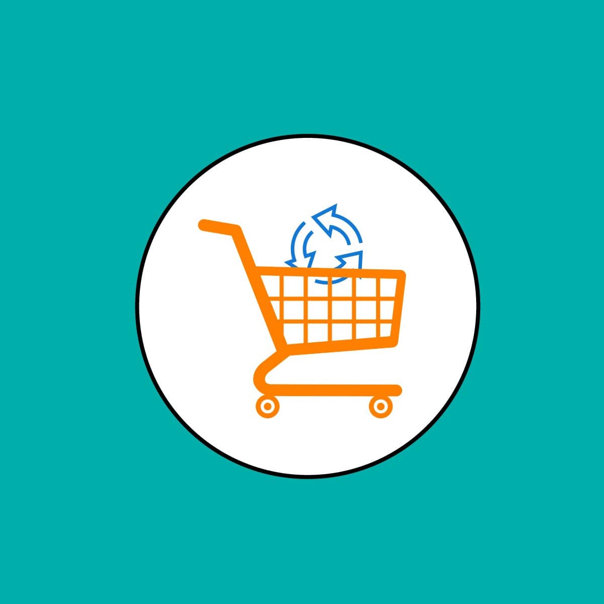 This app helps in the recovery of abandoned carts by reminding them with follow-ups.