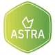 Astra Bulk Product/Price Edit logo