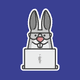 Social Rabbit logo